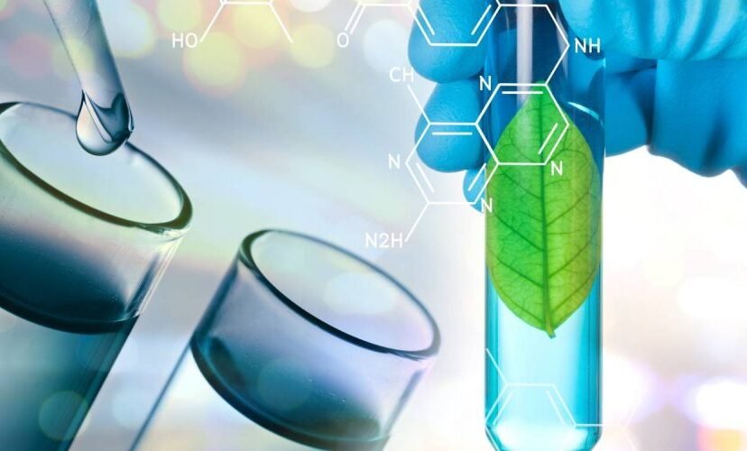 Quimica_verde-e1666390152158-828x500